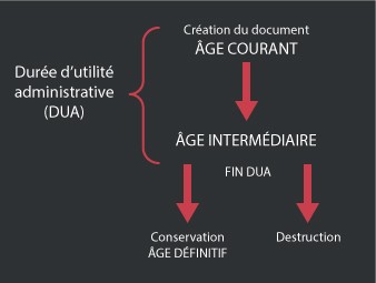 schéma illustrant la durée d'utilité administrative (DUA)